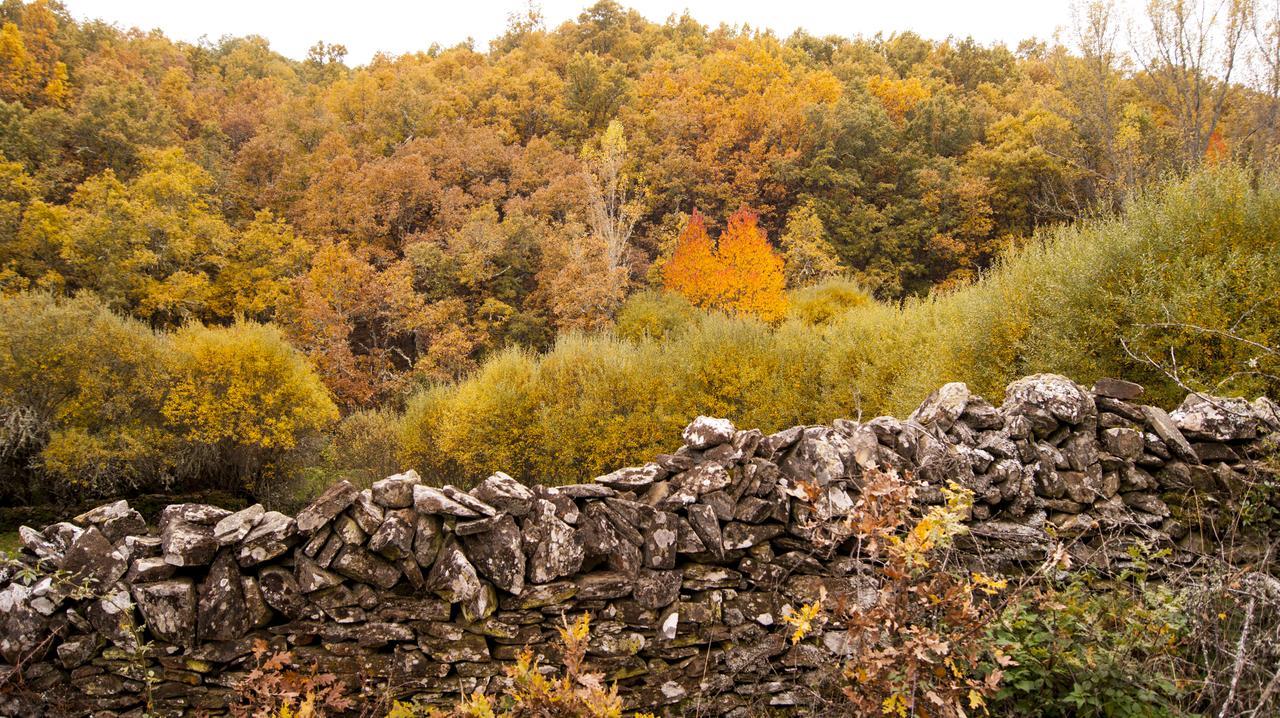 Hotel Rural Las Campares Callejo de Ordás Εξωτερικό φωτογραφία